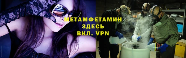 сатива Ростов