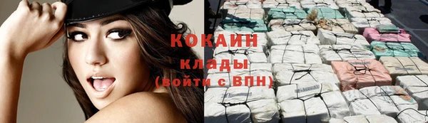 сатива Ростов
