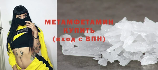 сатива Ростов