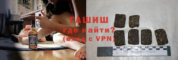 сатива Ростов