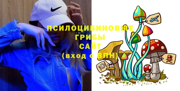сатива Ростов
