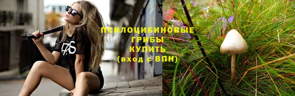 PSILOCYBIN Уссурийск