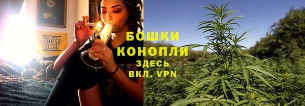 сатива Ростов