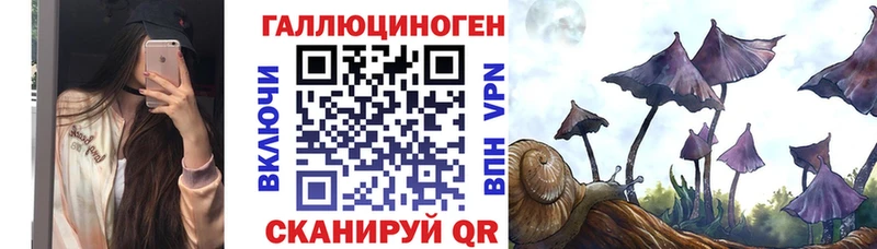 Псилоцибиновые грибы Psilocybine cubensis  omg маркетплейс  Аткарск  продажа наркотиков 